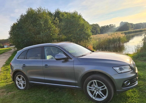 Audi Q5 cena 49999 przebieg: 199000, rok produkcji 2013 z Chojnice małe 46